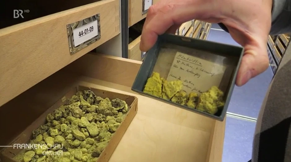 Agencija LfU, humboltin