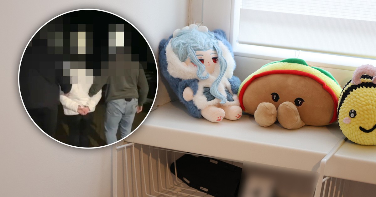 Narzędzie zbrodni trzymała obok pluszaków. Czy 15-latka odpowie jak dorosła za atak na seniorkę?