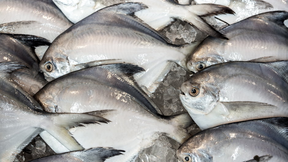 Tropikalna ryba maślana jest sprowadzana do Polski