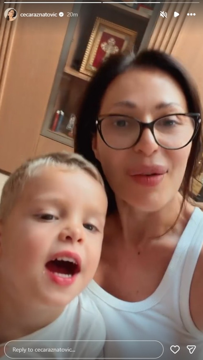 Ceca sa unucima