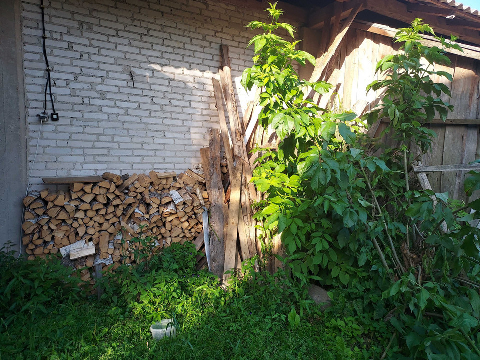 Zapas drewna ułożonego pod dachem stodoły Teresy w Kruszewie