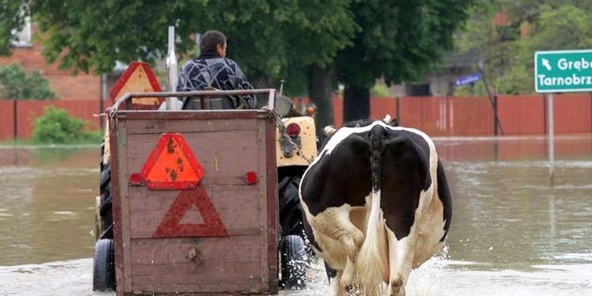 Powodzianie boją się nocnych złodziei