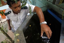 76 tysięcy zarażonych. Największa epidemia dengi od lat