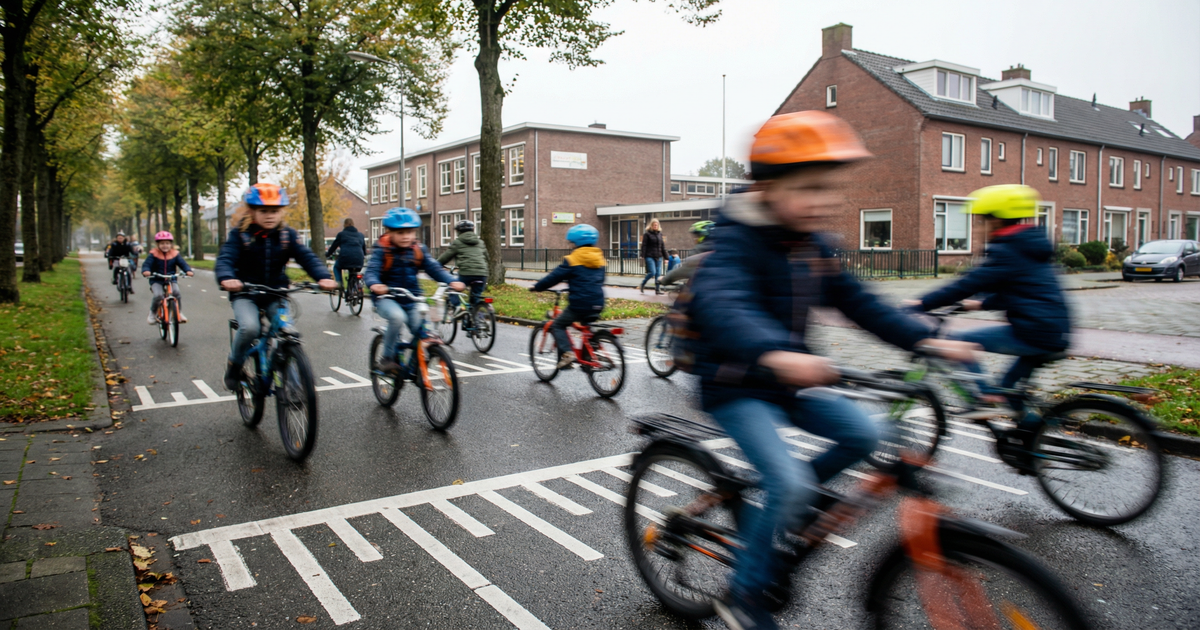 Gratis-fietshelmen-via-hondenbelasting-Dan-fiets-ik-niet-meer-