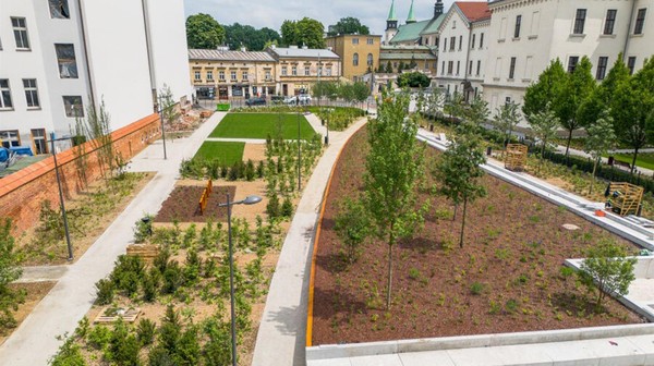 Wśród projektów dzielnicowych dominowała zieleń (35 proc.)