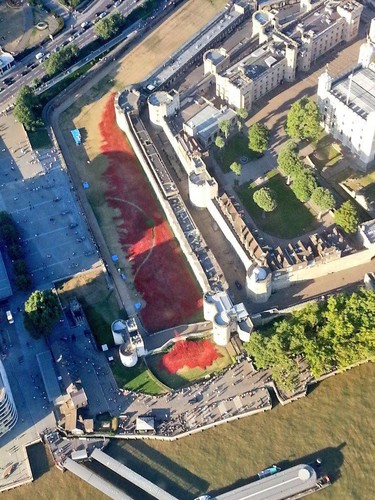 Morze porcelanowych maków wokół twierdzy Tower w Londynie