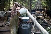 Duch puszczy: bimber z Podlasia ląduje na weselnych stołach w całej Polsce