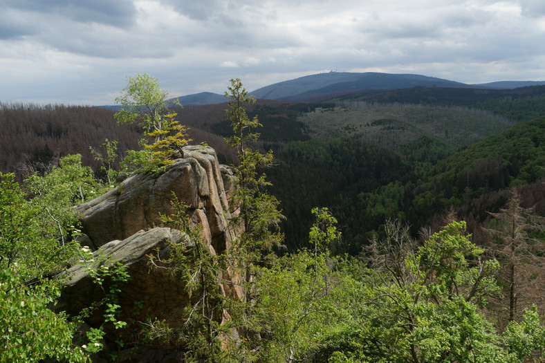 Park Narodowy Harz, Niemcy