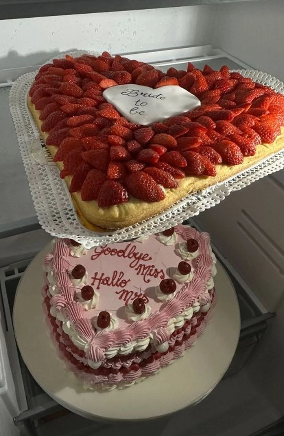 Devojačko veče Virdžinije Mihajlović