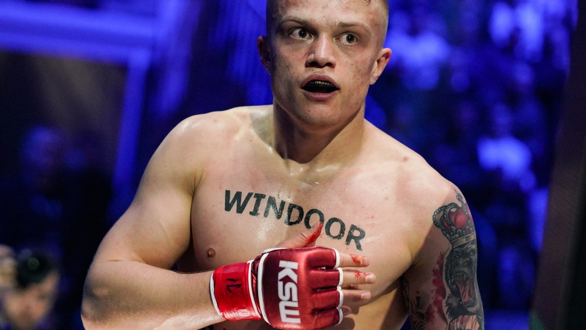 Ksw 64 Live Stream Free