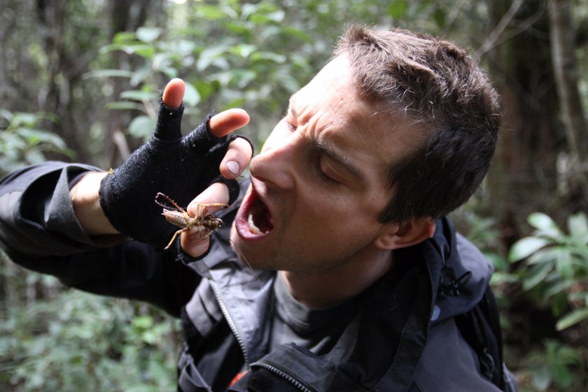 Bear Grylls