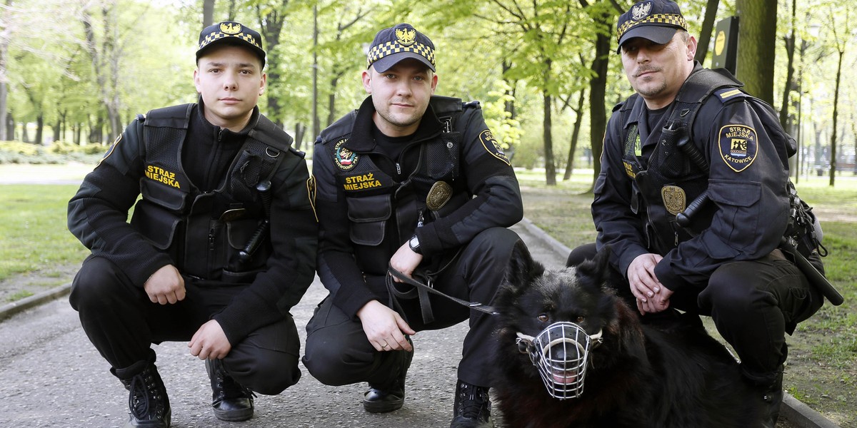 Katowice. Miasto walczy z psimi kupami. Kolejna edycja akcji Zbierzmy się do kupy 