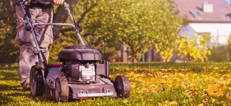 Kiedy ostatnie koszenie trawy przed zimą? Na jaką wysokość ciąć trawę na zimę? Do jakiej temperatury ostatnie koszenie trawy jesienią?