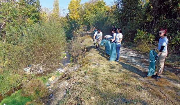 U akciju se uključio veliki broj volontera, prednjačili zaposleni u Vipu