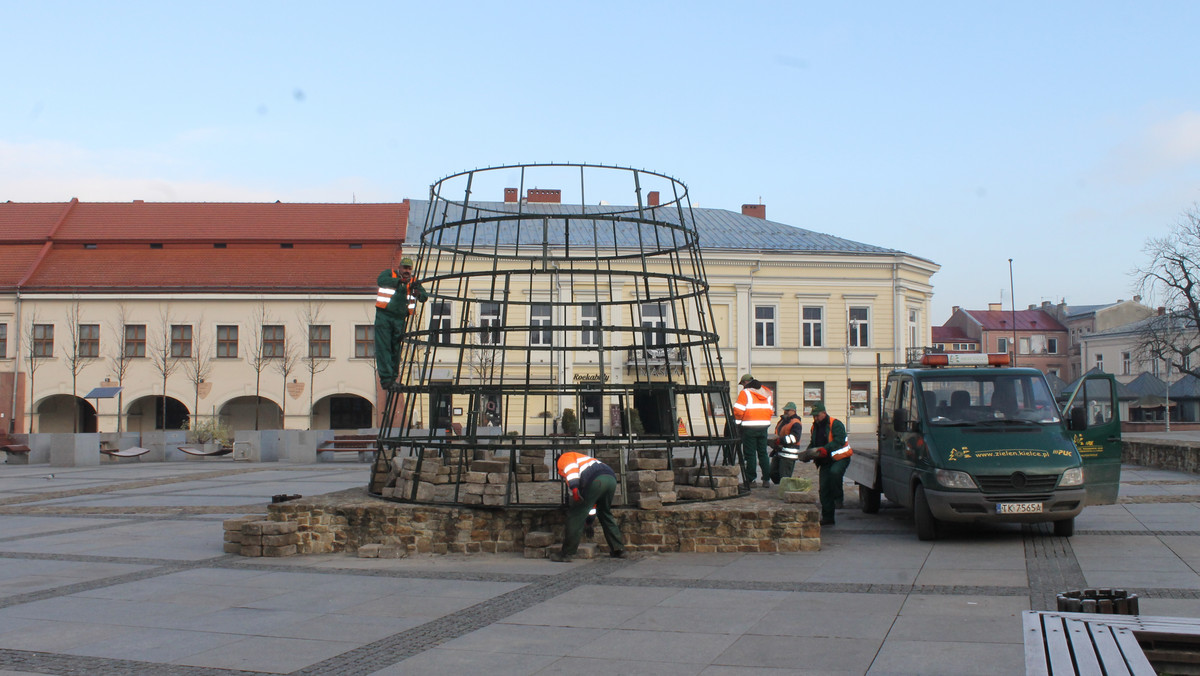 Na kieleckim Rynku rozpoczął się montaż sztucznej choinki. Tradycyjnie oficjalne odpalenie światełek odbędzie się w Mikołajki, a więc 6 grudnia. Pracownicy Rejonowego Przedsiębiorstwa Zieleni i Usług Komunalnych kończą już także dekorowanie głównych ulic w mieście.