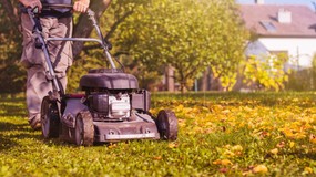 Nowy przepis wchodzi w życie. Tu od października można dostać mandat za koszenie trawy