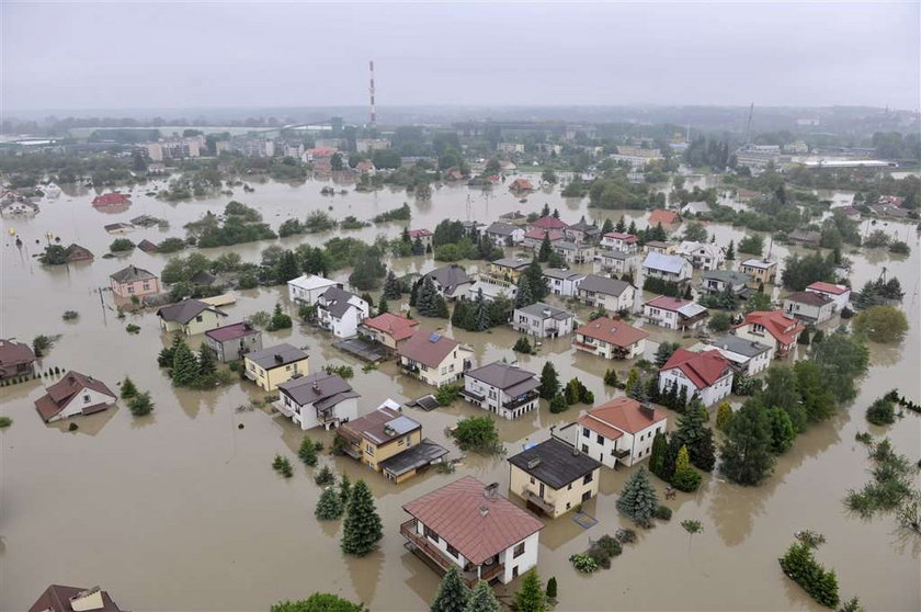 Jak głosowali powodzianie