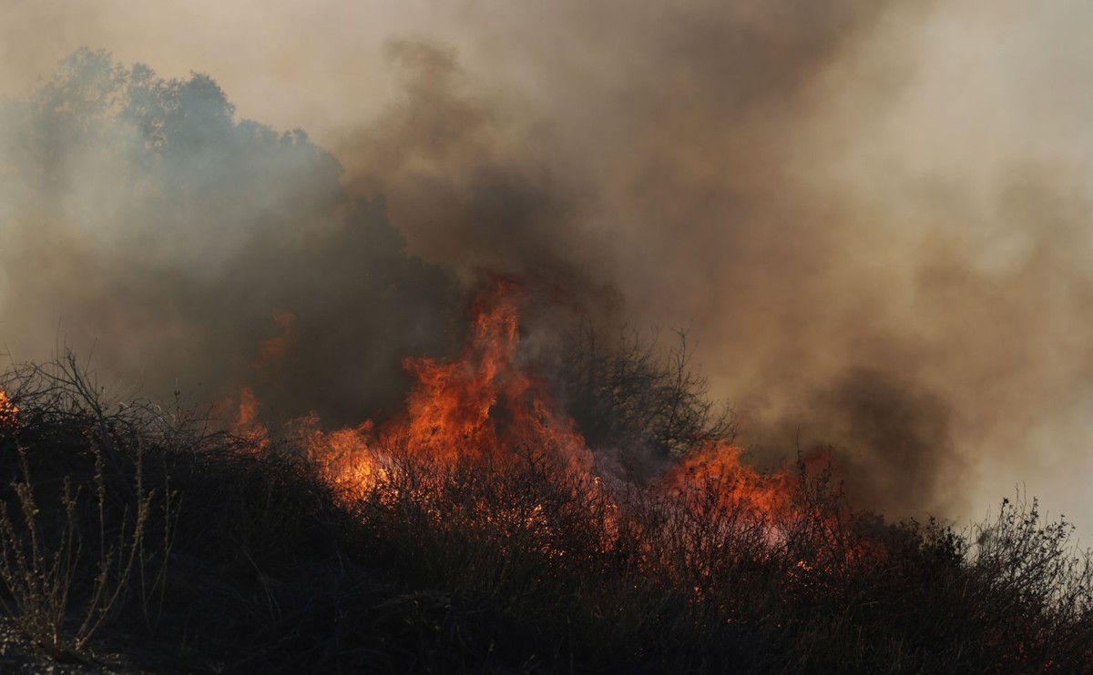Pożar w LA jest skutkiem zmian klimatu: ekstremalnych temperatur i suszy
