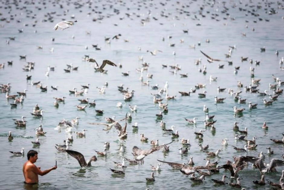 Ljudi u Portugalu traže spas u moru