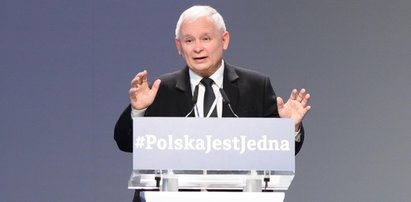 Niepojęte rozpasanie! Prawie 100 milionów zł dla ludzi PiS