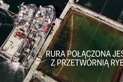 Kanadyjska firma pod ostrzałem za... wypuszczanie krwi do publicznych wód