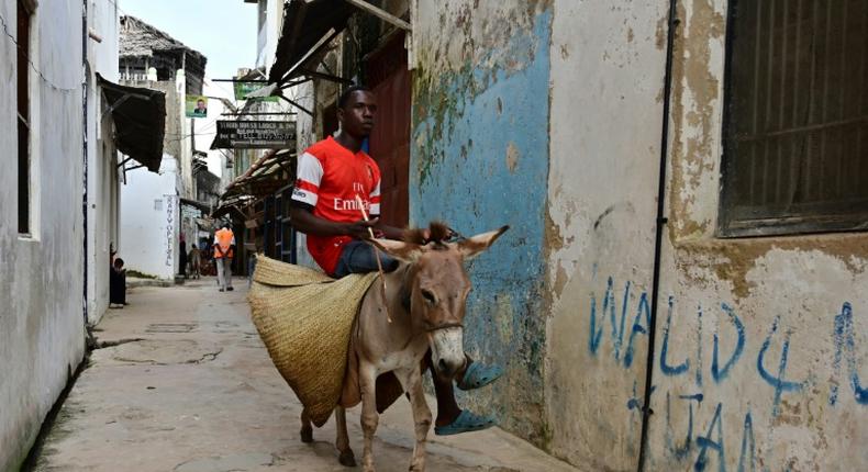 Kenya has decided to ban the slaughter of donkeys for use in Chinese medicine