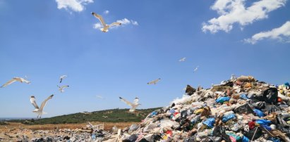 Ekspert: Ochronę środowiska zmieniono w patologię handlu kwitami