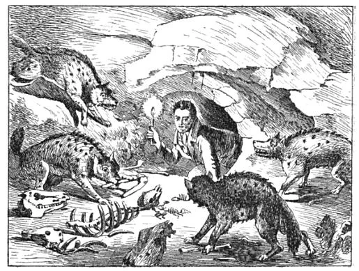 Rysunek przedstawiający Williama Bucklanda zaglądającego do jaskini pełnej hien. William Conybeare narysował go, żeby uczcić odkrycie pastora.