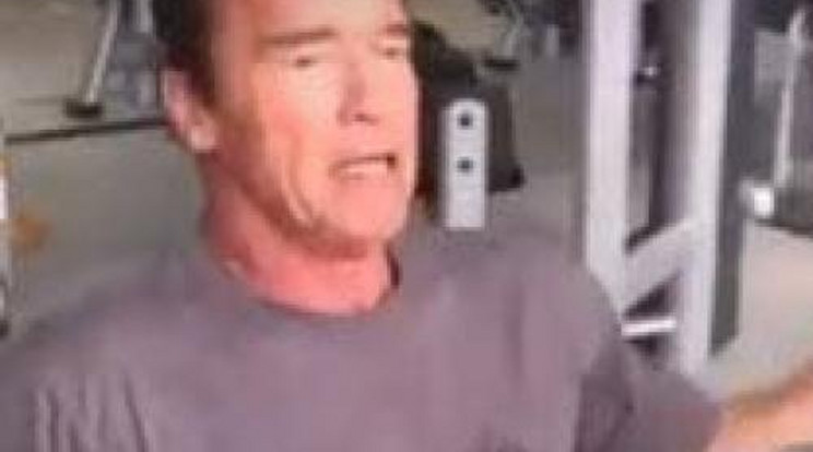 Így gyúr együtt a Schwarzenegger-család – videó