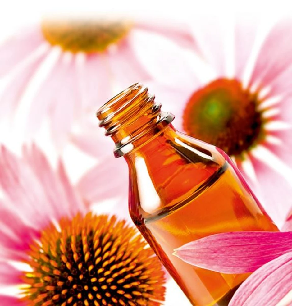 Ehinacea se danas najčešće koristi kao sredstvo za jačanje imuniteta
