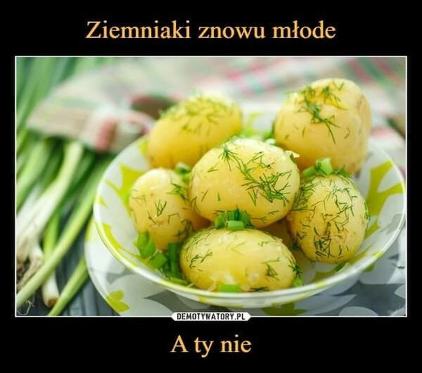 Memy tygodnia