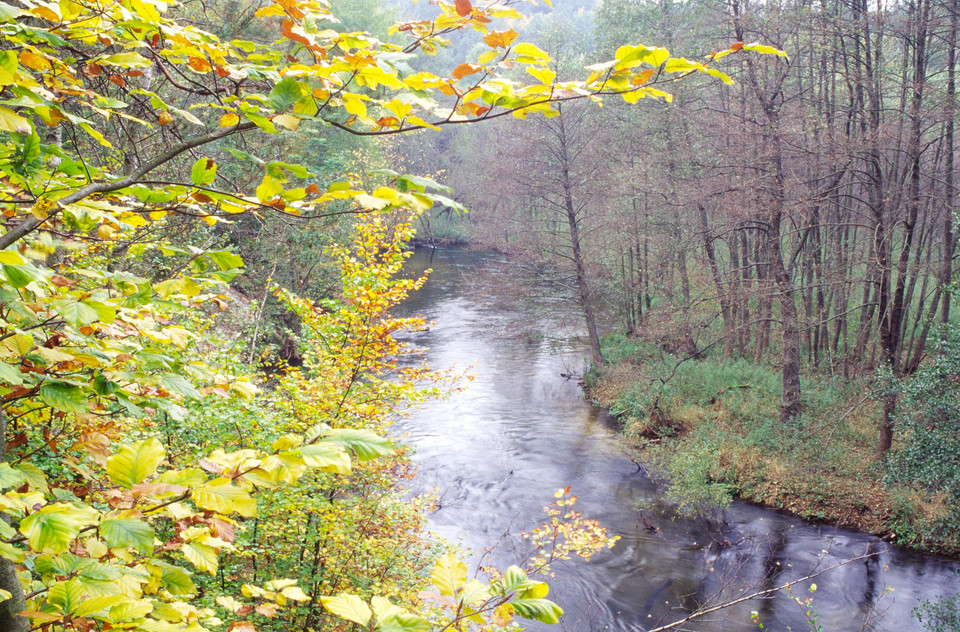 Drawieński Park Narodowy - Drawa