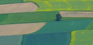 Cudzoziemcom będzie trudniej kupić ziemię w Polsce