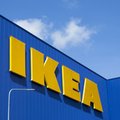 Ikea wycofuje partię popularnych klopsików. W środku może być plastik