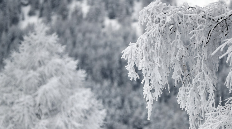 Egyre hidegebb van a hegyekben, szerdán a Tátrában is leesett a hó/ Fotó: Northfoto