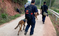 OFICJALNE. Nikt nie przeżył katastrofy Boeinga w Chinach