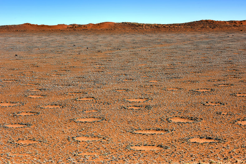 Kręgi wróżek, znajdujące się na pustyni Namib, w Parku Narodowym Namib-Naukluft w Namibii.