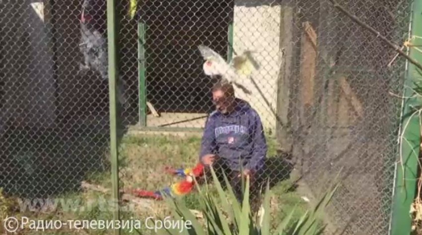 Zoo vrt u Kolutu, Milan Marić