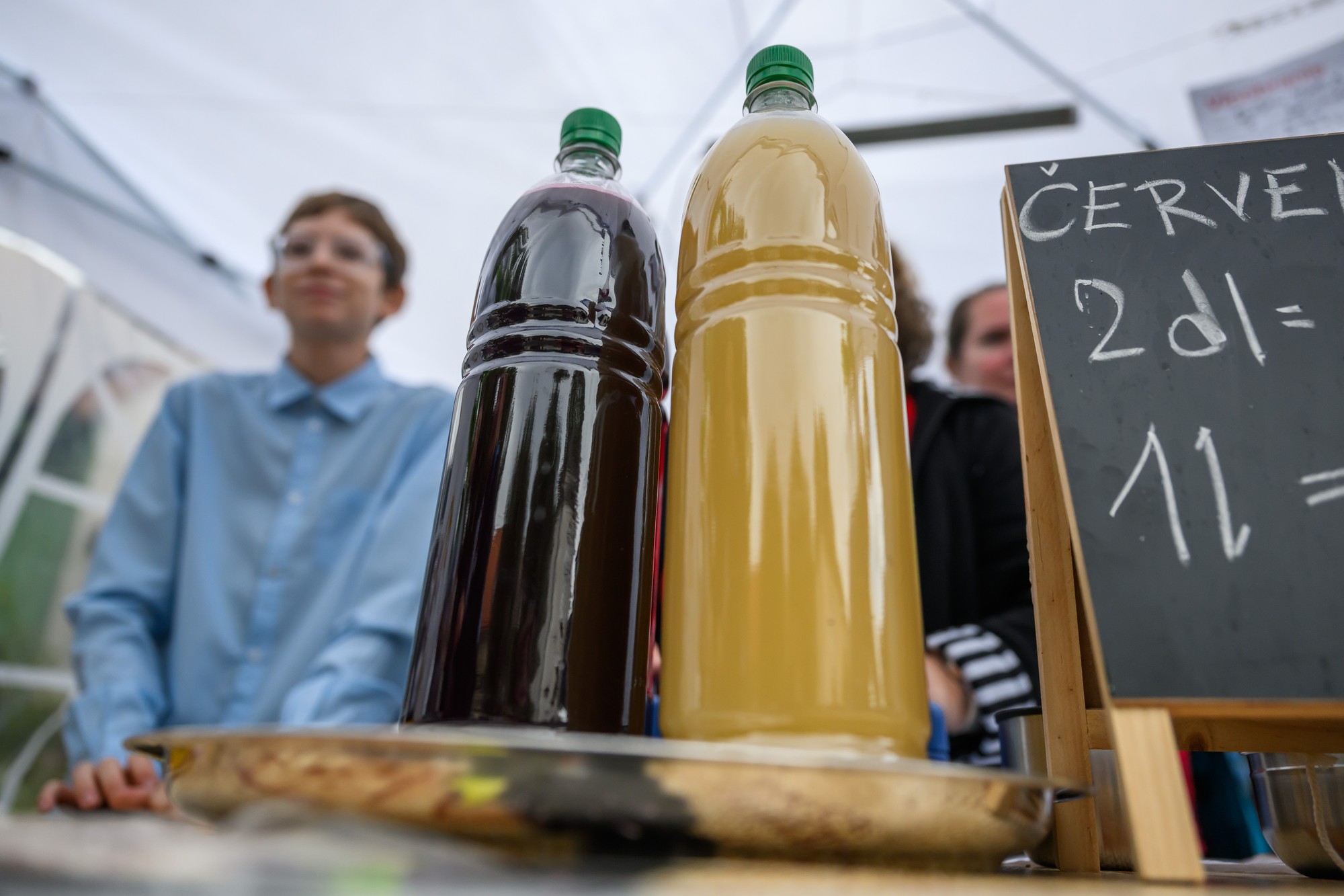 Slováci na jeseň radi navšetevujú vinobrania. 