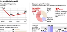 Trudny rok dostawców programów, lepszy dla sprzedawców komputerów