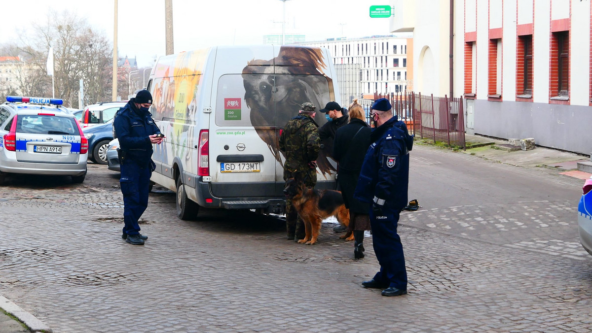 Gdańsk. Psy zaatakowały kobietę i dziecko. Decyzja w sprawie właściciela