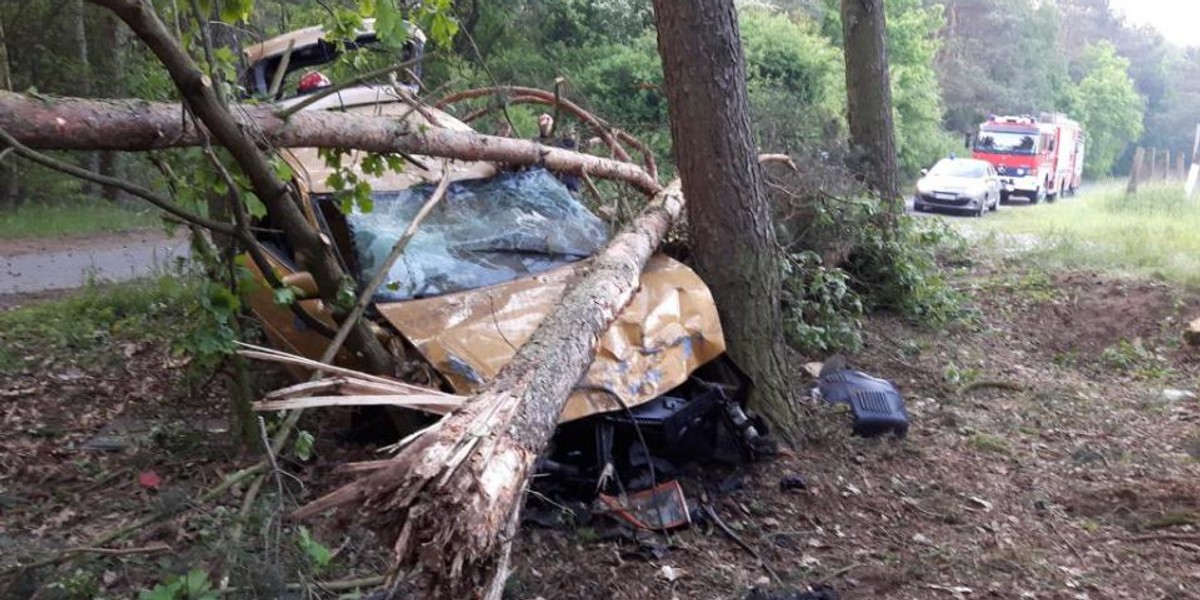 Pijany uderzył w drzewo i uciekł. Zostawił rannego pasażera