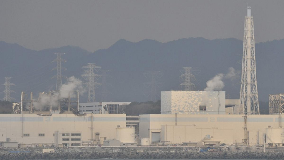 Odnaleziono ciała dwóch zaginionych pracowników elektrowni atomowej w Fukushimie - poinformowała japońska agencja Jiji Press, powołując się na policję. Obu prawdopodobnie zabiło tsunami.