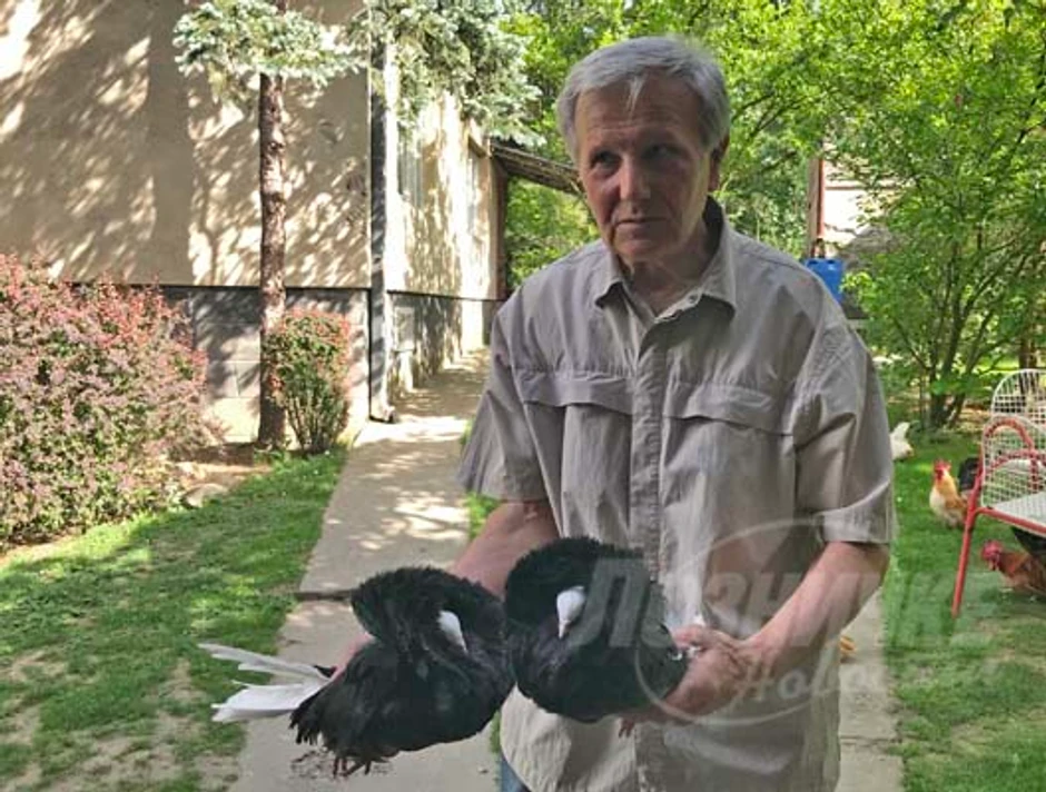 Gvozden i Živko, prijateljstvo dugo četri decenije