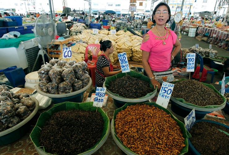 Rynek pełen robaków. Gratka dla smakoszy