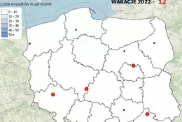 12 zabitych od początku wakacji. Znowu działa policyjna mapa wypadków drogowych 