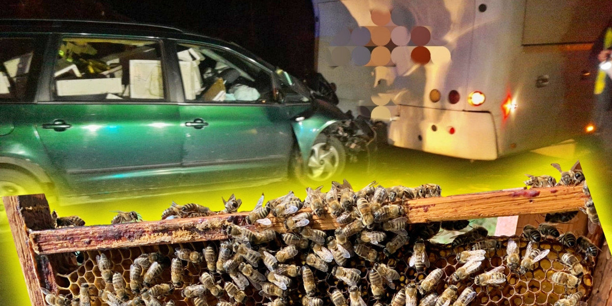 Kierowca uderzył w autobus, potem zaatakowały go jego własne pszczoły.