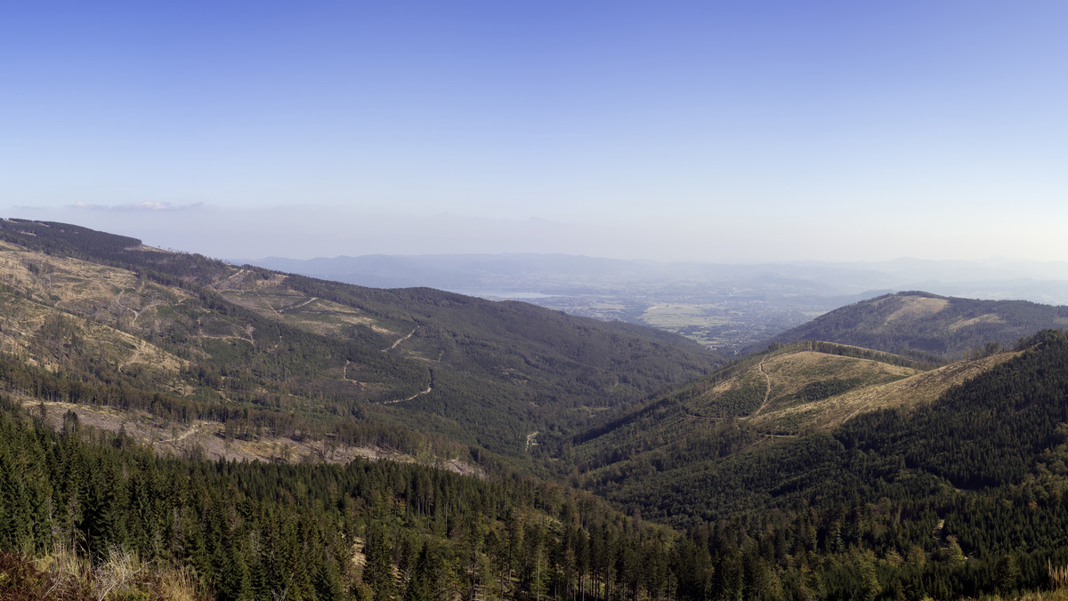 Kozińce (Beskid Śląski) - położenie, szlaki.