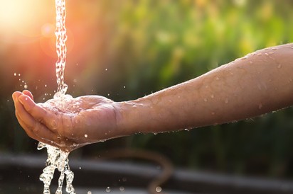 A kisfiam megitta az esővizet. Lehet belőle baj? Az orvos válaszol