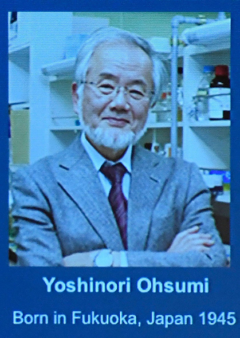 Medyczny Nobel przyznany! Laureatem Japończyk